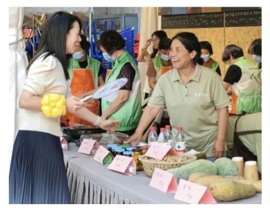 聚焦重大战略，服务中心大局 嘉定社会组织以专业咨询助力经济社会高质量发展