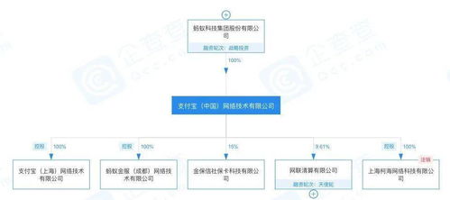 高管更迭背后的战略调整 蚂蚁集团原CEO退出多家公司法人引发的思考
