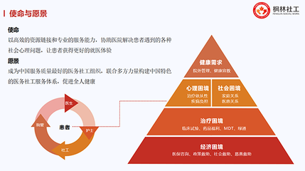 健全重特大疾病保障网，赋能医务社工与咨询服务业发展