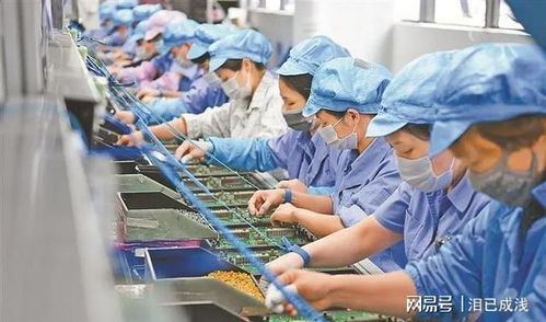 电子厂中工作关系的社会观察 多维因素下的互动模式